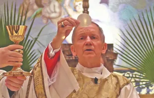 Bishop Thomas Paprocki consecrates the host during Mass. Diocese of Springfield in Illinois